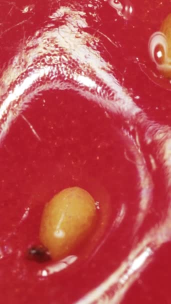 堆栈中的草莓广角宏观滑动拍摄垂直视频 — 图库视频影像