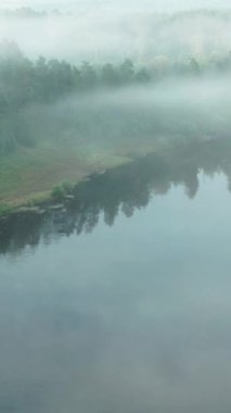 İnsansız hava aracının videosu, yazın nehirde sis, çam ağaçları, kum dikey video..