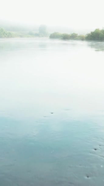 Video Dronu Mlha Řece Létě Při Východu Slunce Borovice Písek — Stock video