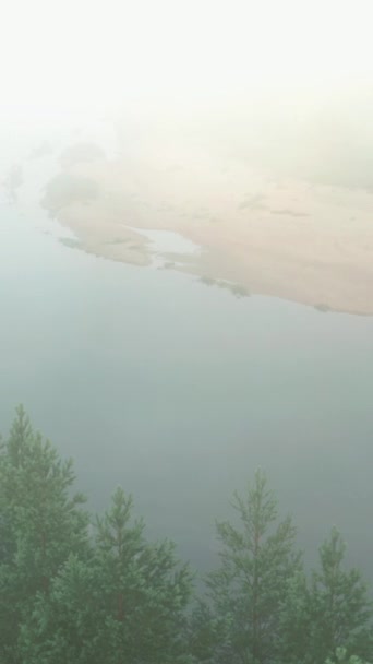 Беспилотное Видео Туман Реке Летом Рассвете Сосновый Лес Реки Песчаный — стоковое видео