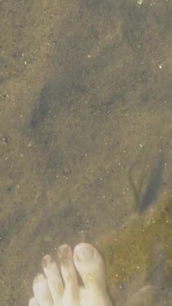 Pești Mici Râu Face Masaj Picior Spa Apă Limpede Fundul — Videoclip de stoc