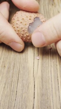 Lychee meyvesi, keskin kabuk, posa ve kemiğe yakın çekim. Dikey video.