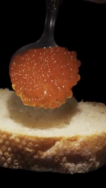 Messo Cucchiaio Caviale Rosso Pezzo Rotante Baguette Primo Piano Video — Video Stock