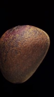 Kabuklu çam fıstığı, siyah arka planda dönüyor, yakın plan. Dikey video.