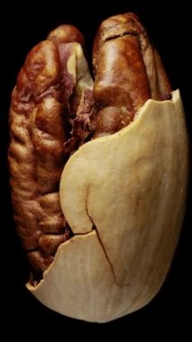 Çatlamış ceviz, dönüyor. Yakın plan. Siyah arka plan, yan görüş. Dikey video.