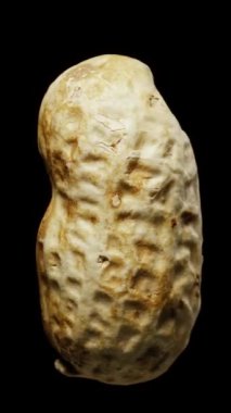 Siyah arka planda kabuklu fıstıklar dönüyor. Yakın plan, yan görüş. Dikey video.