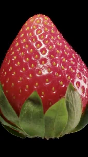 Strawberries Black Background Close Poured Yogurt Cream Vertical Video — Stock Video