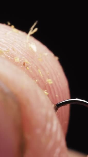 Μύγα Είναι Προνύμφη Σκουλήκι Είναι Φυτεμένο Αγκίστρι Ψαρέματος Μακροεντολή Κατακόρυφο — Αρχείο Βίντεο
