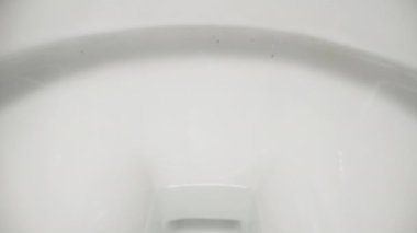 Kamera tuvaletten kayıyor. Tuvaletin sifonu su dolu. Dolly kaydırıcı aşırı yakın çekim.