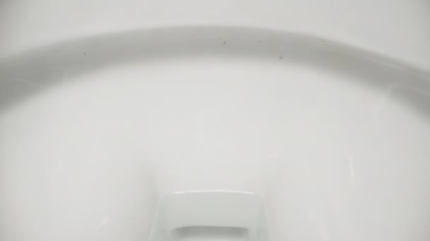 Camera Glijdt Uit Het Toilet Het Toilet Doorgespoeld Met Water — Stockvideo