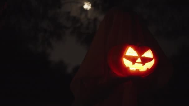Egy Fehér Lepedős Fiatal Tököt Tart Halloweenkor Éjszaka Erdőben Telihold — Stock videók