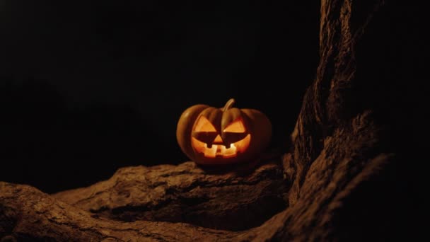Halloween Dýně Svíčky Uvnitř Stojí Kořeny Stromu Lese Noci — Stock video