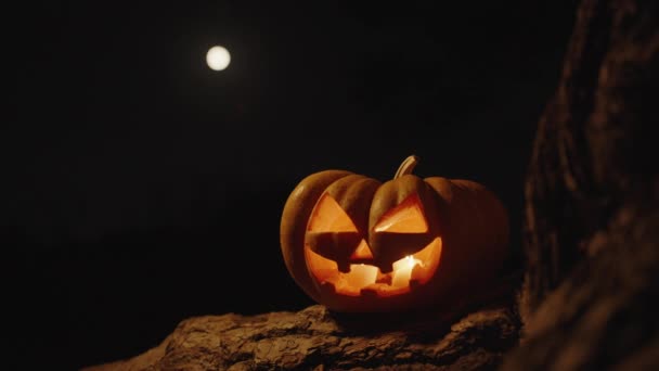 Calabaza Halloween Árbol Bosque Por Noche Luna Llena Está Fondo — Vídeos de Stock