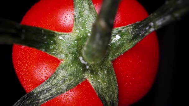 Pequeno Tomate Cereja Girando Sobre Fundo Preto Macro Shot Câmera — Vídeo de Stock