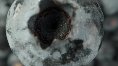 Diğer böğürtlenlerin arka planında yabanmersini var. Süper makro fotoğrafçılık. Yukarı kay. Düş