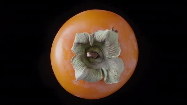 Persimmon Rotiert Auf Schwarzem Hintergrund Von Oben Nahaufnahme — Stockvideo