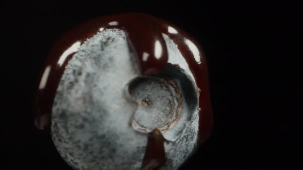 一个孤独的蓝莓 覆满巧克力 慢慢地在黑色的背景上旋转 极端宏观 — 图库视频影像