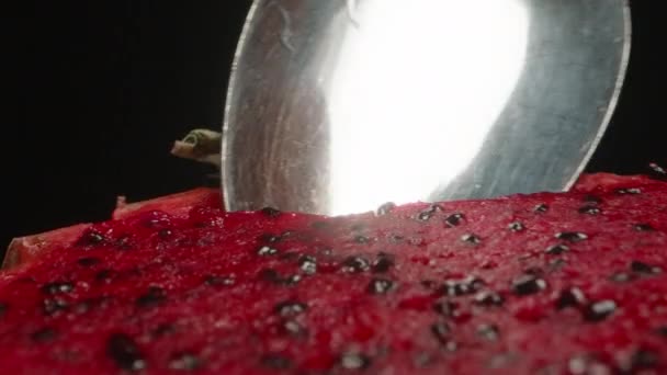 Wyciągam Czerwoną Miąższ Pitahaya Łyżką Suwak Dolly Ekstremalne Zbliżenie — Wideo stockowe