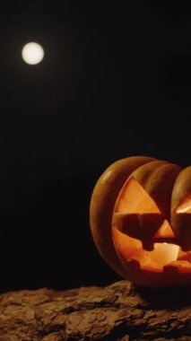 Dikey video. Geceleri ormandaki bir ağaçta Cadılar Bayramı balkabağı. Arka planda dolunay var. Yakın çekim görüntüsü. Kaydırıcı, panorama