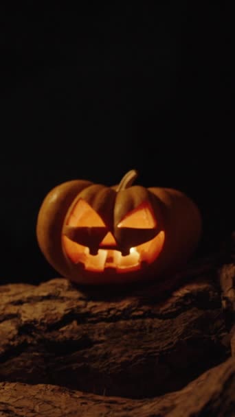 Videoclip Vertical Dovleac Halloween Lumânări Interior Află Rădăcinile Unui Copac — Videoclip de stoc