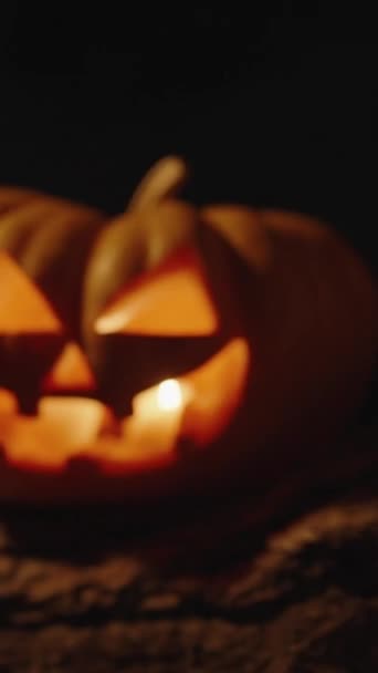 Függőleges Videó Egy Halloween Tök Gyertyákkal Belsejében Egy Nagy Gyökerein — Stock videók