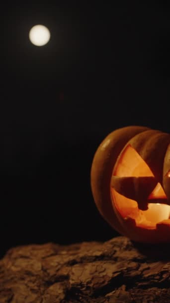 Vertikální Video Halloween Dýně Kořeny Velkého Stromu Lese Noci Úplněk — Stock video