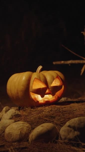 Κάθετο Βίντεο Μια Κολοκύθα Του Χάλογουιν Τάφο Στο Δάσος Νύχτα — Αρχείο Βίντεο