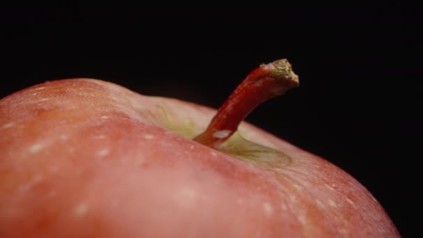 苹果茎 一个充满水的凹槽 黑色背景上的宏观旋转 — 图库视频影像