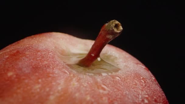 苹果茎 一个充满水的凹槽 水滴中的红苹果在特写时旋转 — 图库视频影像