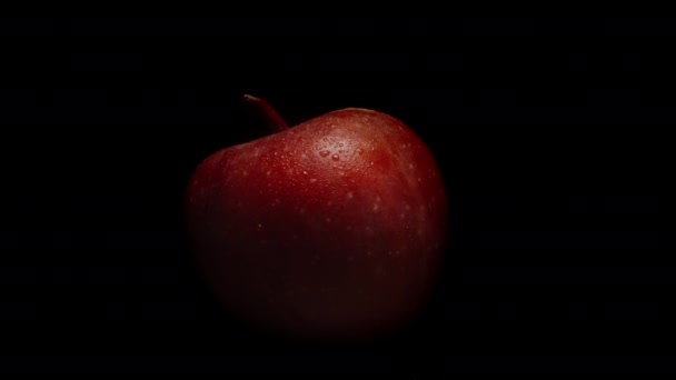 水滴の赤いリンゴ 黒い背景に回転して クローズアップ リンゴは影から光に現れる — ストック動画