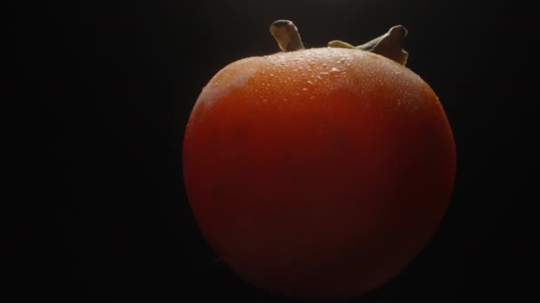 Persimmon Bedekt Met Waterdruppels Draaiend Een Zwarte Achtergrond Close Verschijnt — Stockvideo