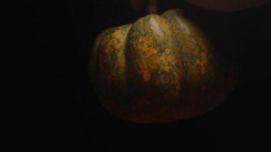 Yeşil noktalı küçük bir balkabağı siyah arka planda döner. Yakın plan.