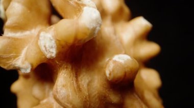 Soyulmuş ceviz, aşırı makro fotoğraf, yavaş düşüş. Siyah arkaplanı ayır. Döndürme.