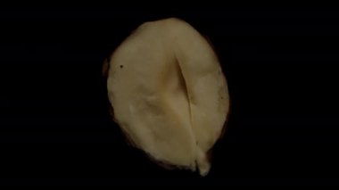 Fındığın yarısını yarıya böl, siyah bir arkaplanda dön, yakın plan. Karanlıkta beliriyor..