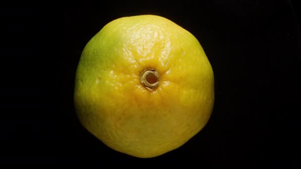 Grün Gelbe Mandarine Rotiert Auf Schwarzem Hintergrund Isoliert Nahaufnahme — Stockvideo