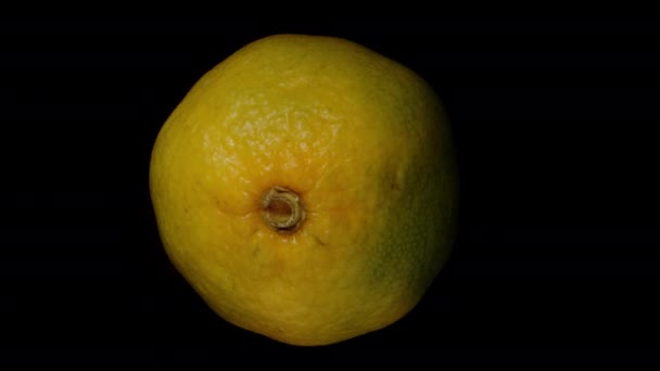 Eine Grün Gelbe Mandarine Rotiert Isolierend Auf Schwarzem Hintergrund Nahaufnahme — Stockvideo