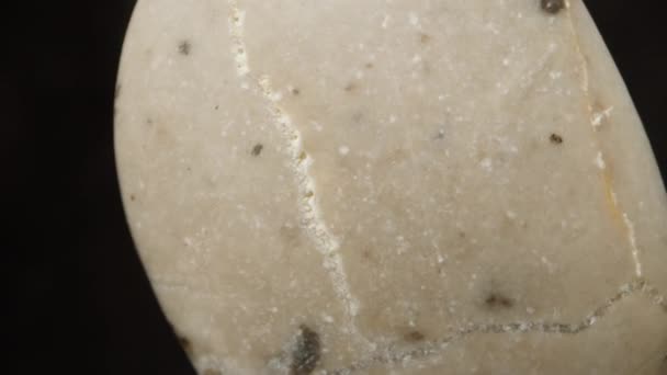 Flat Oval Sea Stone Rotation Black Background Macro — Stock Video