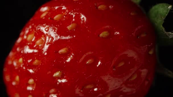 Căpșuni Macro Extreme Oase Mici Apare Din Întuneric — Videoclip de stoc