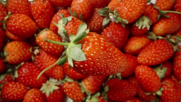 Strawberry Rotates Top View Imitation Falling Everything Covered Strawberries Bottom — Stock Video