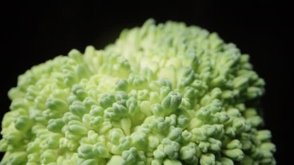 Broccoli Extreme Macro Zoom Langzaam Vallen Weg Gaan Geïsoleerde Zwarte — Stockvideo