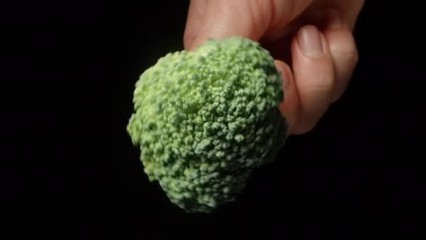 Draai Een Kleine Takje Broccoli Mijn Hand Het Bovenaanzicht Een — Stockvideo