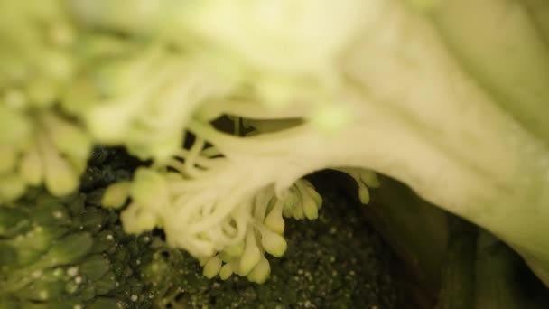 Kamera Melewati Brokoli Dan Atas Pisau Dolly Slider Extreme Close — Stok Video