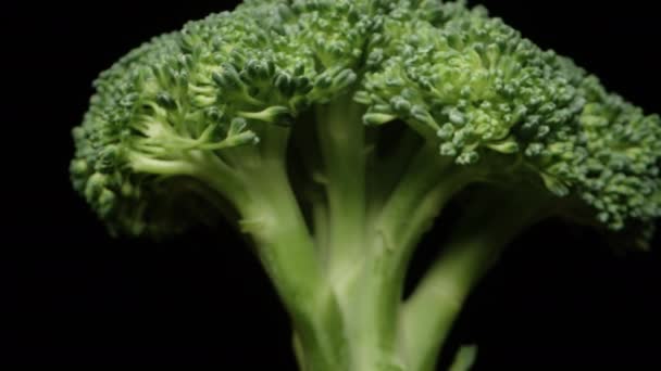 Broccoli Draait Camera Beweegt Weg Door Andere Broccoli — Stockvideo