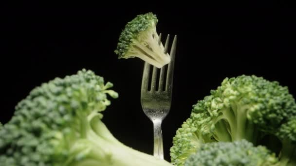 Broccoli Gaffel Roterar Svart Bakgrund Mellan Andra Broccolibuskar Närbild — Stockvideo