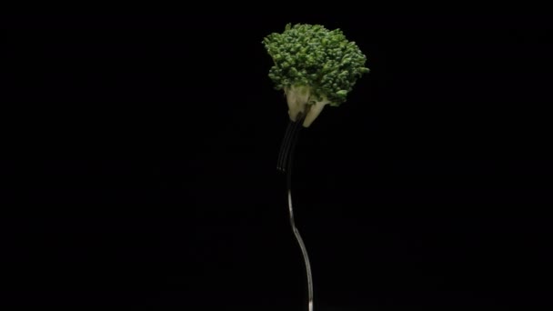 Broccoli Een Vork Draait Een Zwarte Achtergrond — Stockvideo