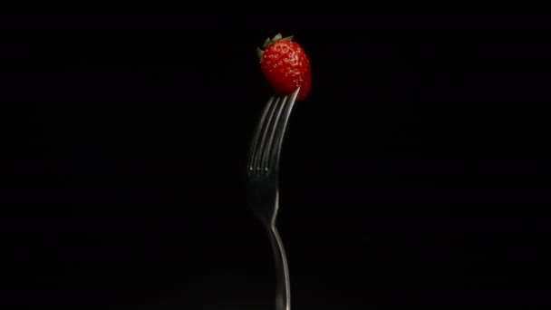草莓在叉子上被刺伤 在黑色的背景上旋转 — 图库视频影像