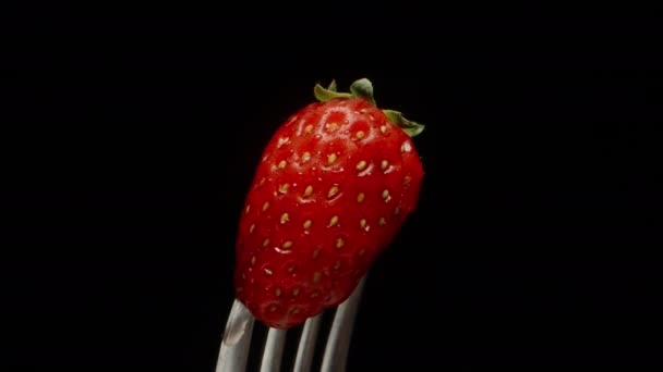 Strawberry Impaled Fork Rotates Black Background Camera Slowly Moves Away — Stock Video
