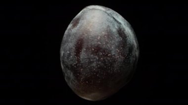 Mavi oval erik, siyah arkaplanda dönüyor, yakın plan..