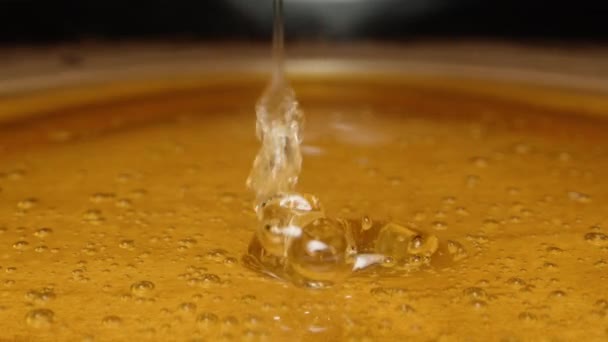 Honing Druipt Van Bubbels Naar Binnen Stroomt Een Bord Honing — Stockvideo