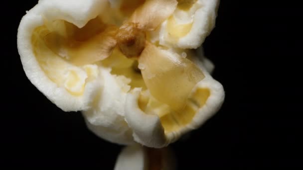 Popcorn Salé Solitaire Sur Fond Noir Filature Concept Chute Macro — Video